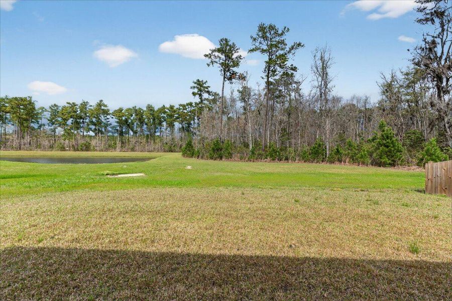 Natural landscape and outdoor views near Jasmine Point at Lakes of Cane Bay in Summerville (Image 31).