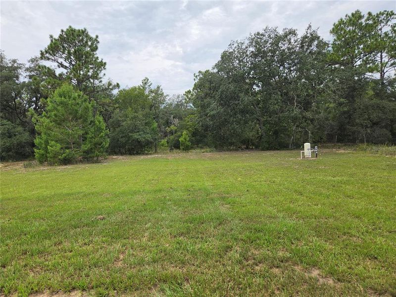 Natural landscape and outdoor views near  in Ocklawaha (Image 12).