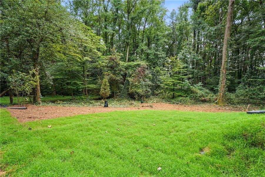 Natural landscape and outdoor views near  in Marietta (Image 41).