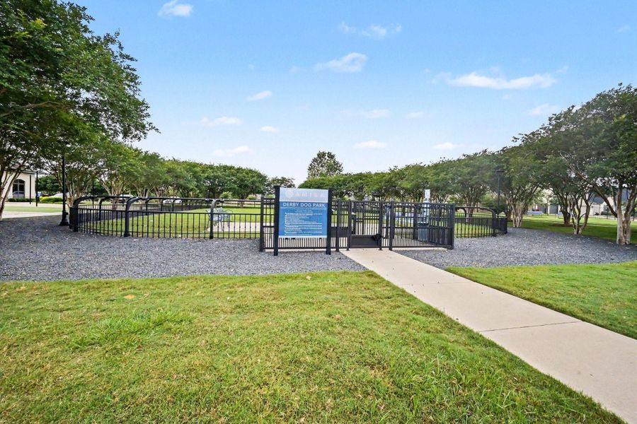 Community dog park. Community dog park.