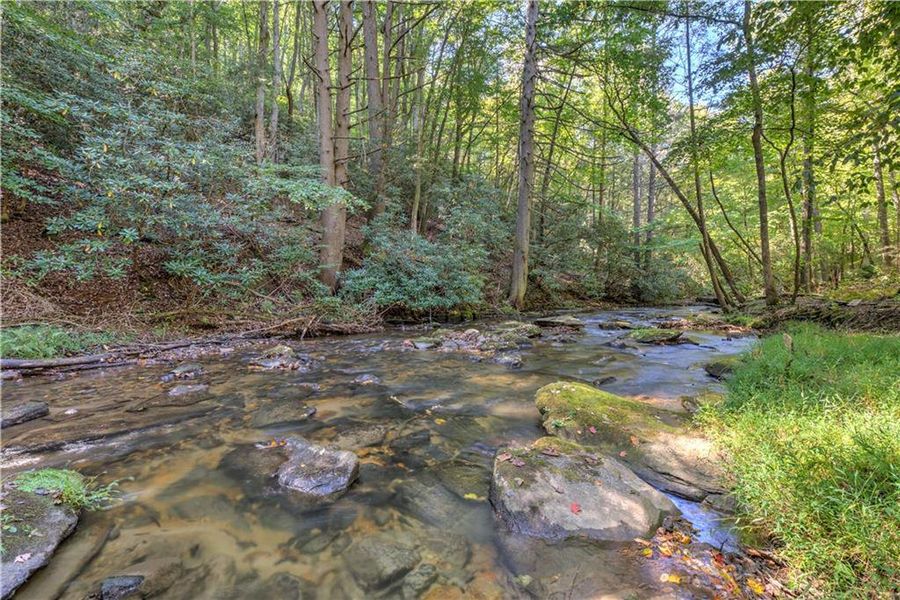 Natural landscape and outdoor views near in Cherry Log (Image 47). Natural landscape and outdoor views near in Cherry Log (Image 47).