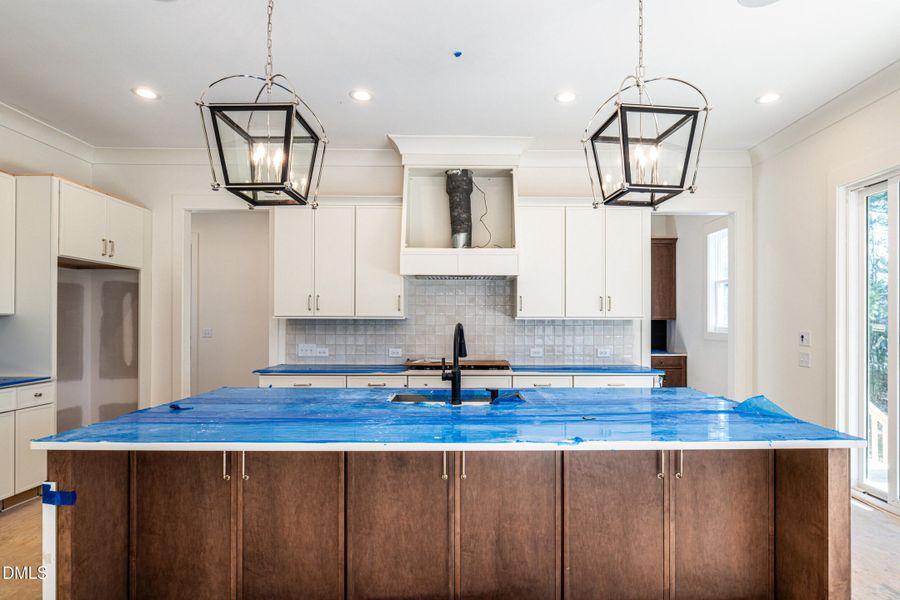 20 canvasback-4 20 canvasback-4