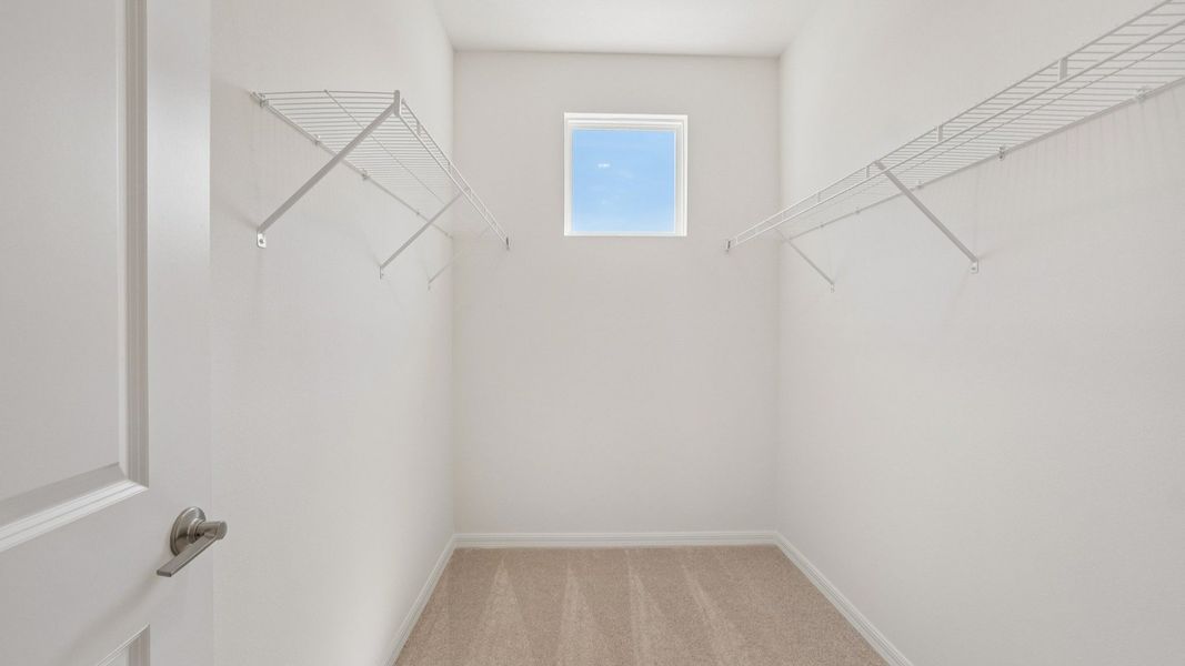 The Primary Closet
