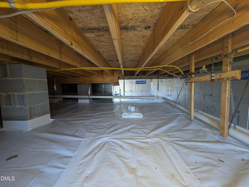 PXL_20251120_143410303 PXL_20251120_143410303