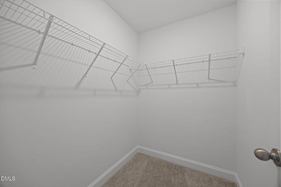 24-web-or-mls-IMG_9773