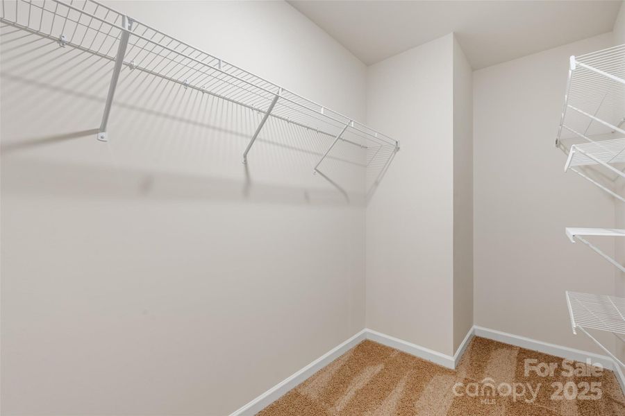 Photos are representative