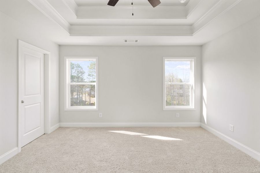 Master bedroom with tray ceiling and sunny windows