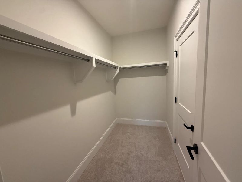 The Dresden D Closet