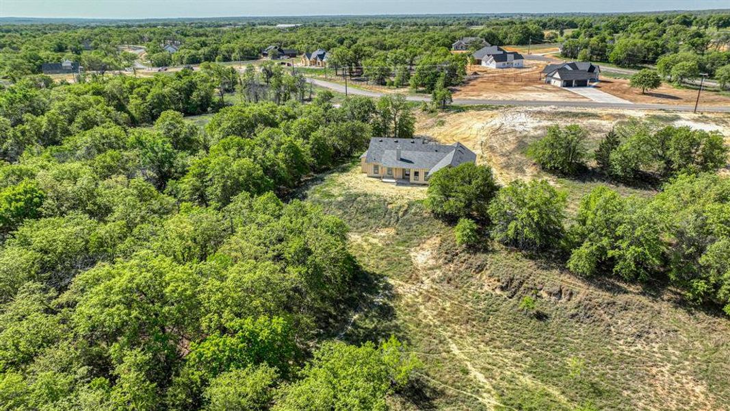 Bird's eye view with a view of trees Bird's eye view with a view of trees