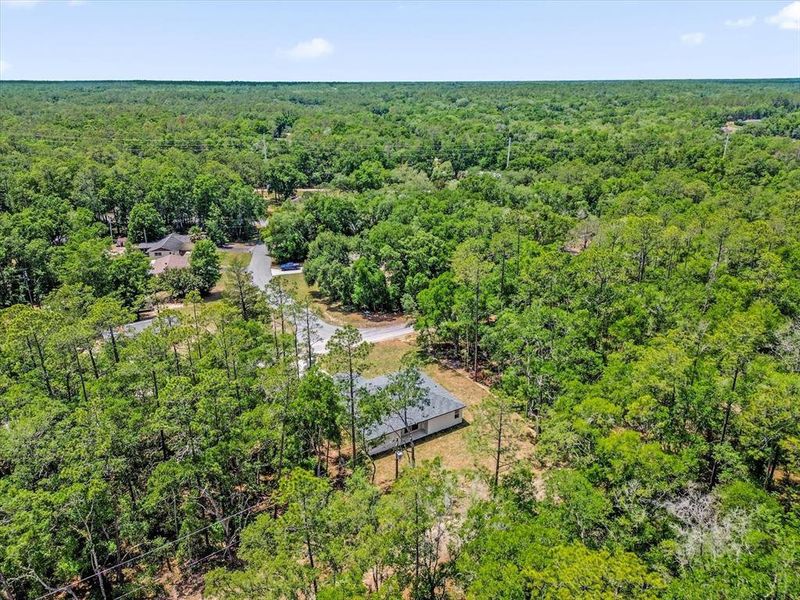 Natural landscape and outdoor views near  in Citrus Springs (Image 42).
