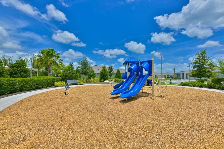 Community amenities in , Parrish (Image 50).