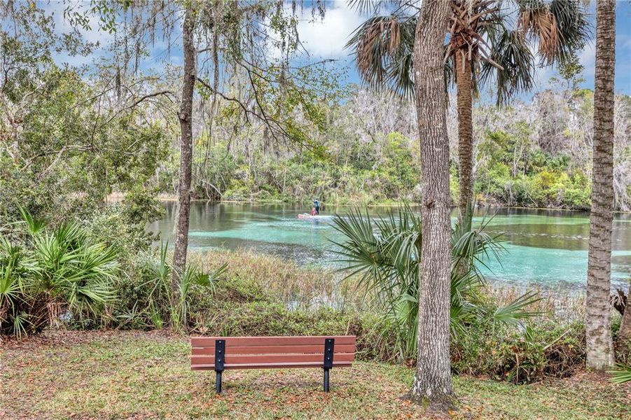 Natural landscape and outdoor views near  in Dunnellon (Image 31).