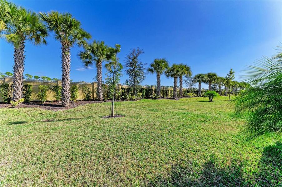 Natural landscape and outdoor views near in Venice (Image 42). Natural landscape and outdoor views near in Venice (Image 42).