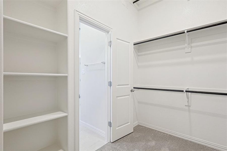 Spacious closet featuring light colored carpet