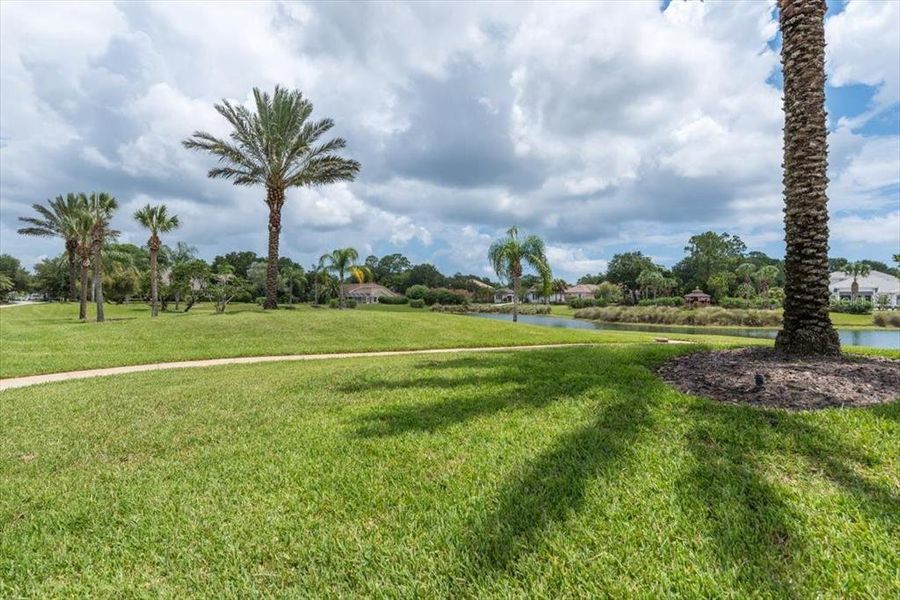 Natural landscape and outdoor views near in Palm Coast (Image 51). Natural landscape and outdoor views near in Palm Coast (Image 51).