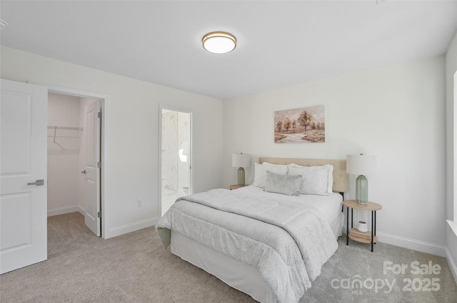 Secondary Suite - Bedroom