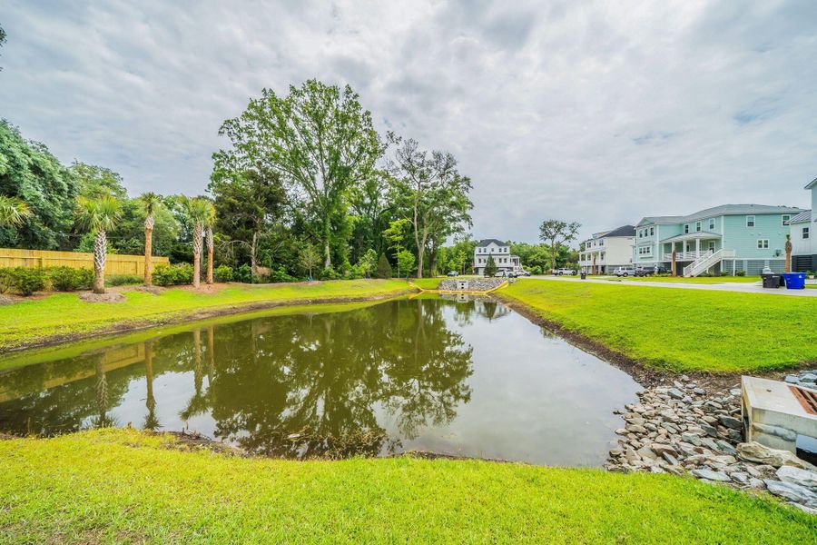 Natural landscape and outdoor views near  in Mount Pleasant (Image 75).