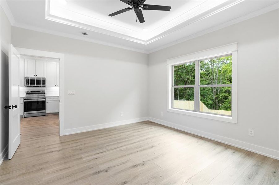 Spare room featuring a raised ceiling, crown molding, a ceiling fan, and light wood-type flooring