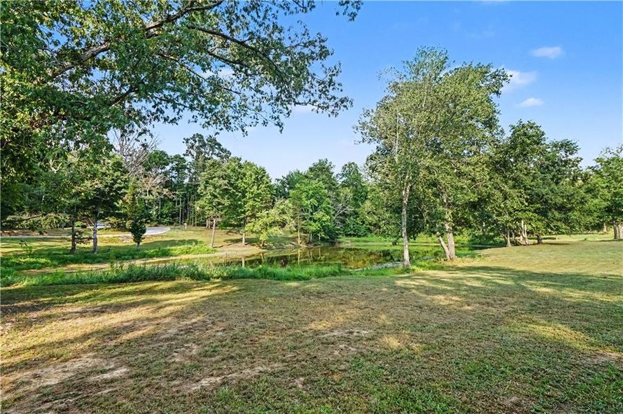 Natural landscape and outdoor views near  in Covington (Image 38).