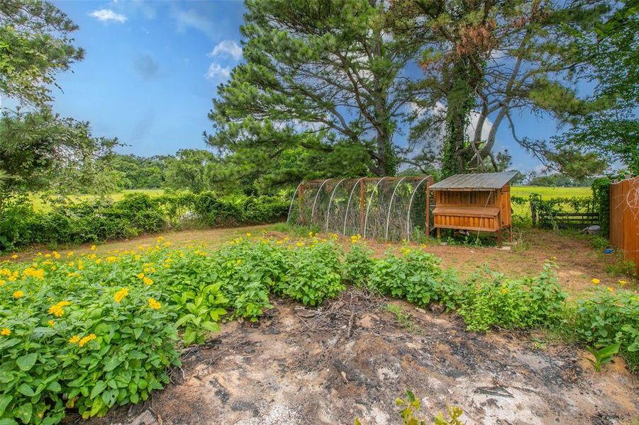 Garden area complete with a chicken coop and fenced growing space, perfect for hobby farming. Garden area complete with a chicken coop and fenced growing space, perfect for hobby farming.