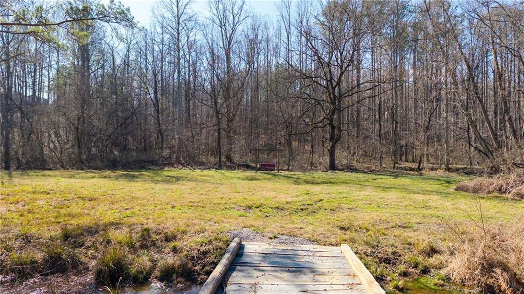 Natural landscape and outdoor views near  in Ball Ground (Image 51).