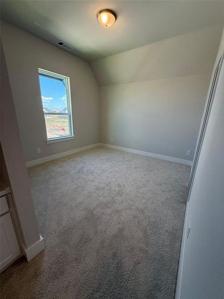 Additional living space with lofted ceiling and light colored carpet Additional living space with lofted ceiling and light colored carpet