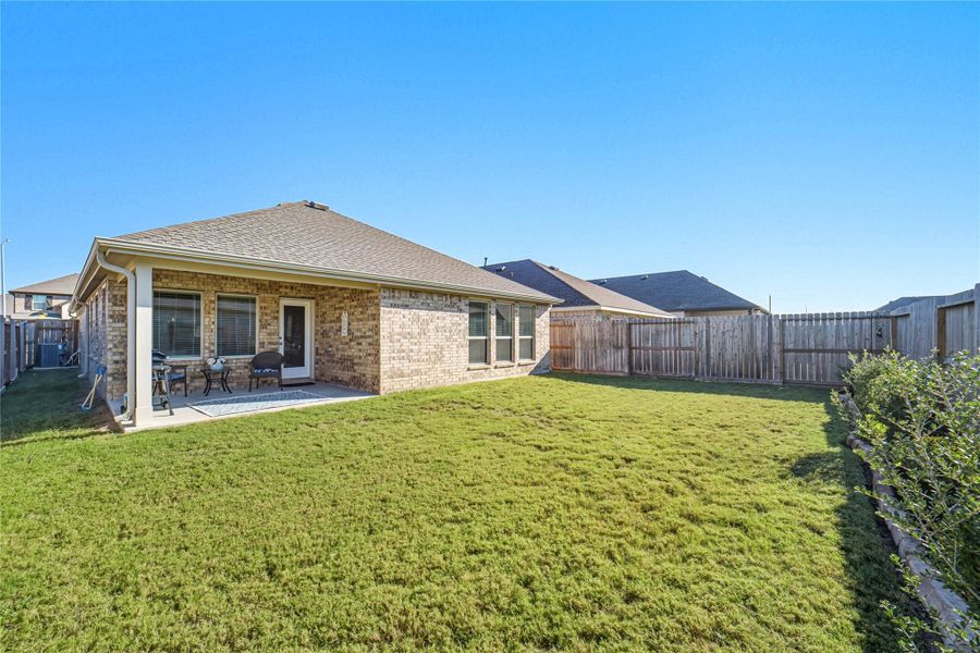 Nice backyard! Nice backyard!