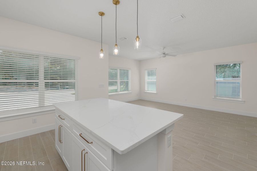 Spacious, unfurnished interior of a new home in , St. Augustine (Image 16).
