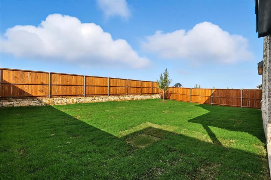 View of fenced backyard
