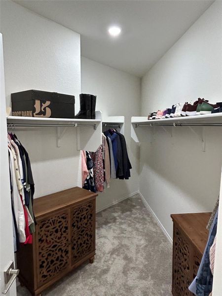 Spacious closet with light colored carpet Spacious closet with light colored carpet