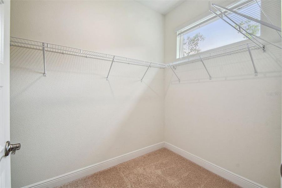 Spacious, unfurnished interior of a new home in Hidden Ridge, New Port Richey (Image 25).