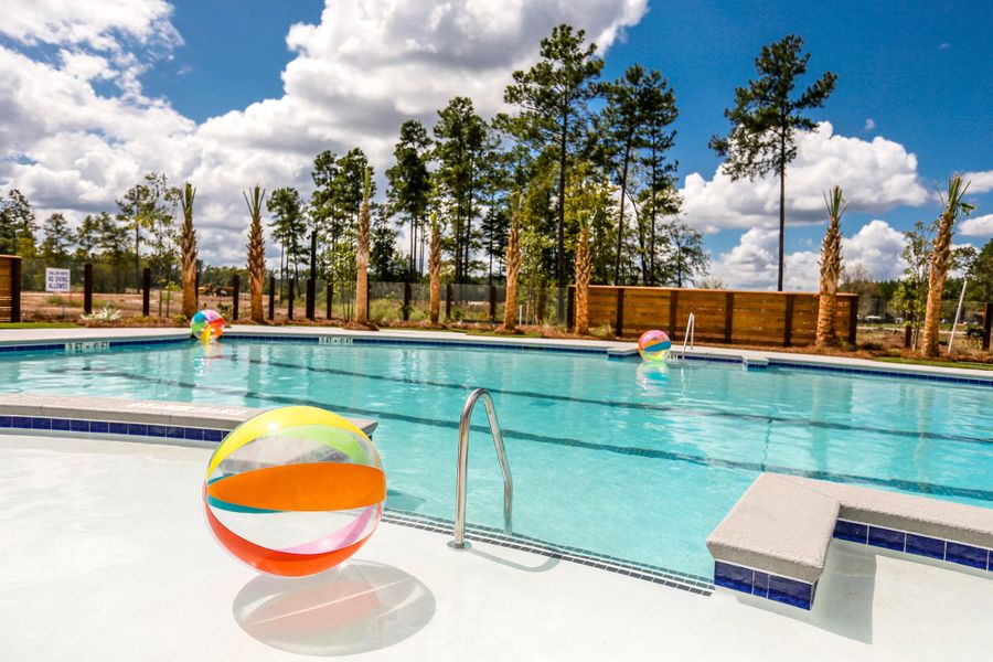 Community amenities in Sweetgrass at Summers Corner: Arbor Collection, Summerville (Image 16).