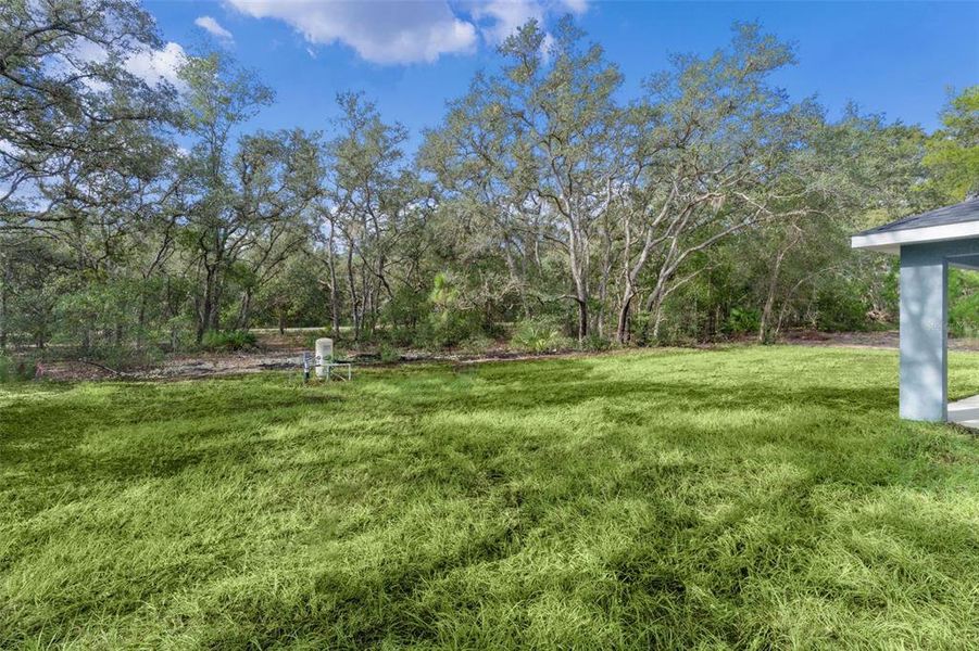 Natural landscape and outdoor views near  in Ocklawaha (Image 33).