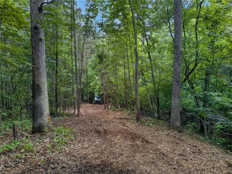 Natural landscape and outdoor views near  in Rockmart (Image 52).