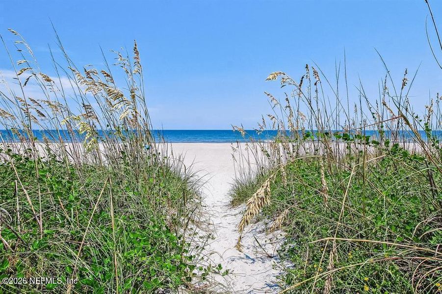 Natural landscape and outdoor views near in Fernandina Beach (Image 5). Natural landscape and outdoor views near in Fernandina Beach (Image 5).