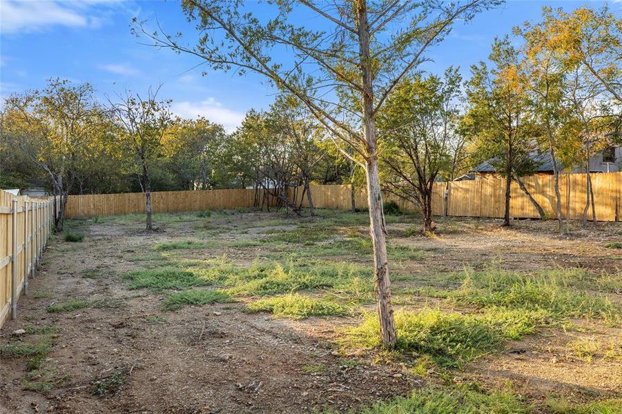 View of fenced backyard