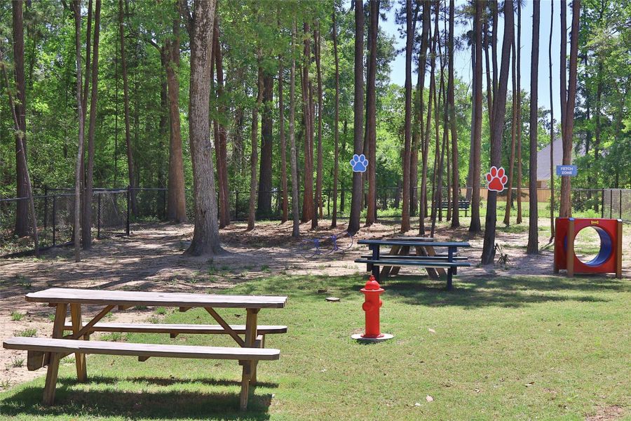 Image 11 of a home in .