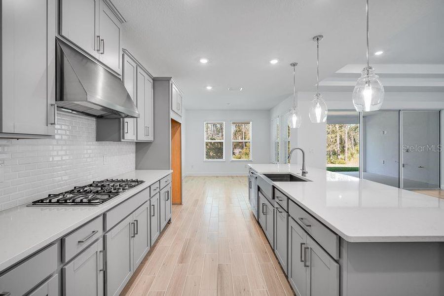 Furnished interior view inside a new home in Hammock at Two Rivers, Zephyrhills (Image 12).
