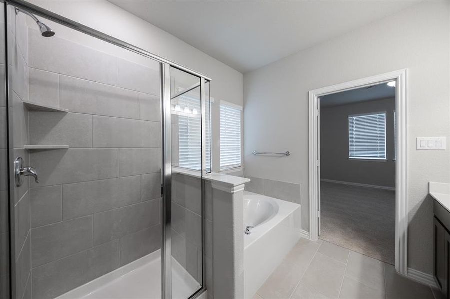 Primary Bathroom Primary Bathroom