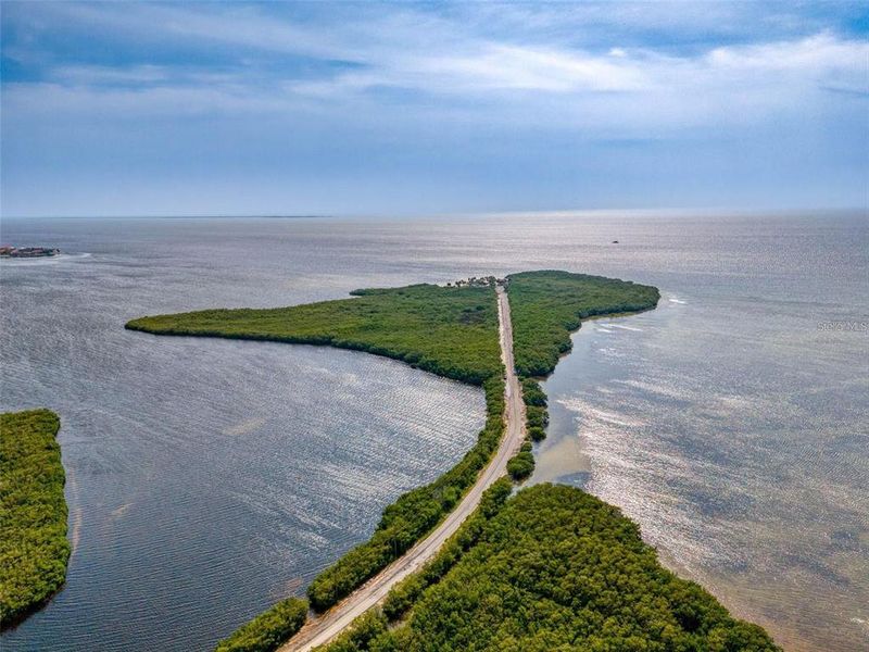 Natural landscape and outdoor views near  in Port Richey (Image 37).