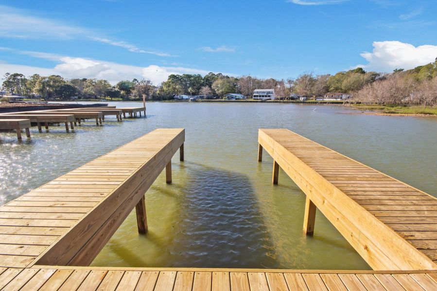 Natural landscape and outdoor views near Lake Conroe Cove in Willis (Image 5).