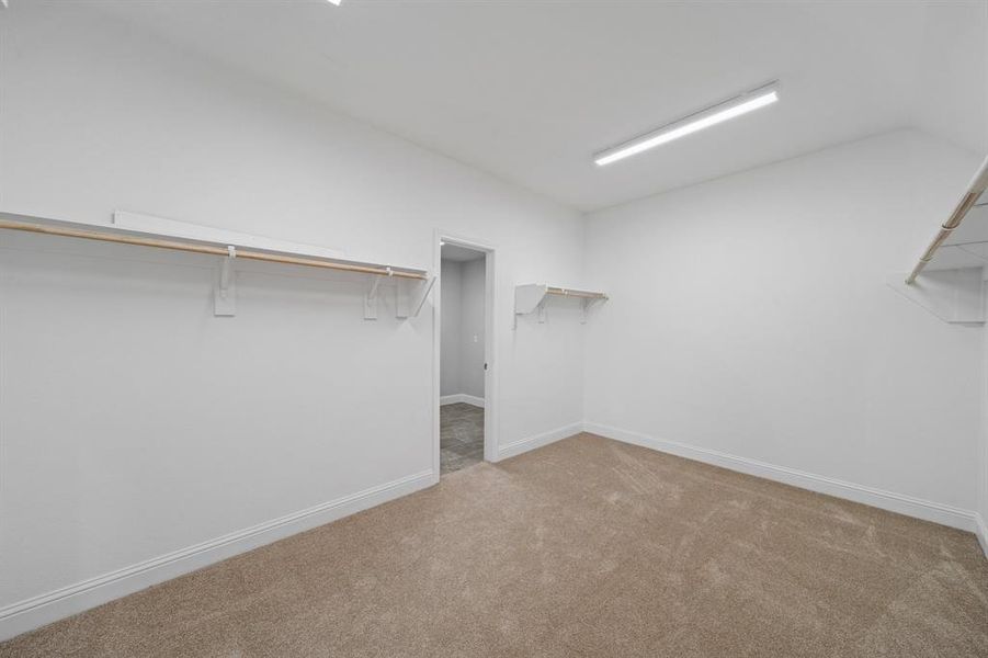 Walk in closet with light carpet