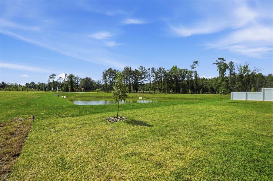 Natural landscape and outdoor views near Leyland Preserve - Premier Series in Brooksville (Image 52).