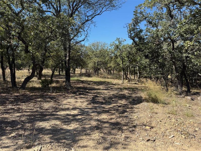 Natural landscape and outdoor views near in Chico (Image 25). Natural landscape and outdoor views near in Chico (Image 25).
