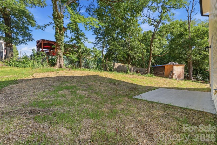 Backyard
