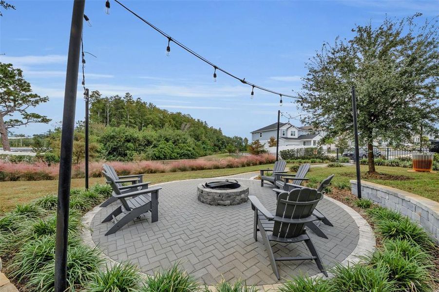 Community amenities in Eagle Creek - Garden Series, Tarpon Springs (Image 39).