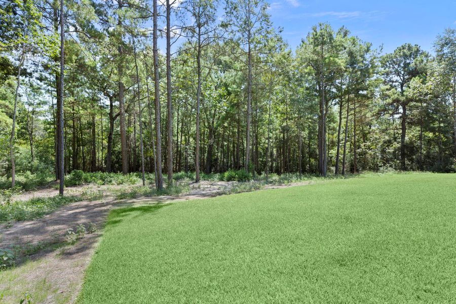 Natural landscape and outdoor views near  in Huntsville (Image 41).