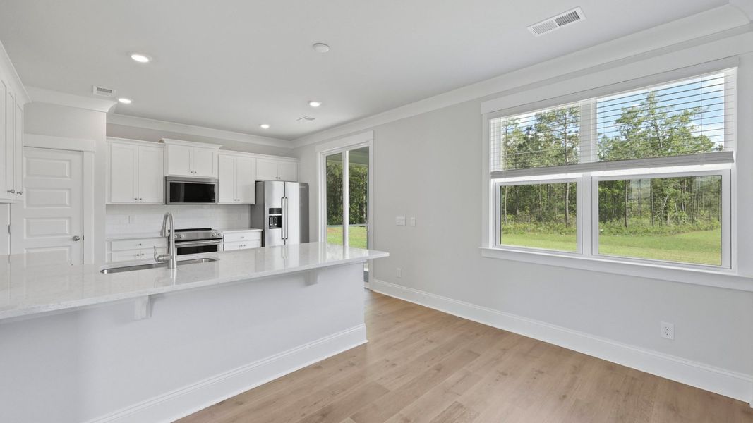 Image 29 representing the HARRIS by D.R. Horton in Sheep Island, Summerville, SC.