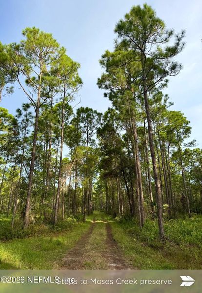 Natural landscape and outdoor views near  in St. Augustine (Image 34).