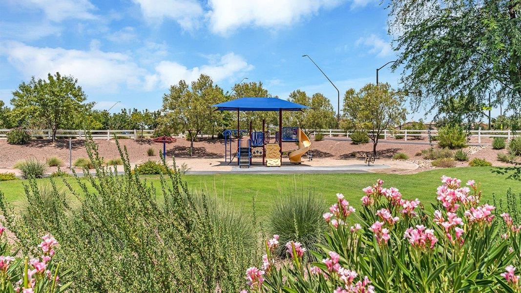 Community amenities associated with the Gila - C30G by D.R. Horton in Coronet at Gladden Farms, Marana (Image 25). Community amenities associated with the Gila - C30G by D.R. Horton in Coronet at Gladden Farms, Marana (Image 25).
